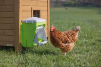 SmartCoop Futterautomat mit Schutzklappe